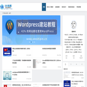 SEO教程零基础入门到高级-学习网站SEO技术知识_SEO视频网