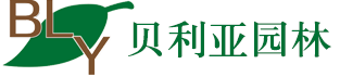 塑石假山制作_仿真树假树_南京贝利亚园林景观工程有限公司