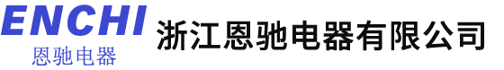 浙江恩驰电器有限公司